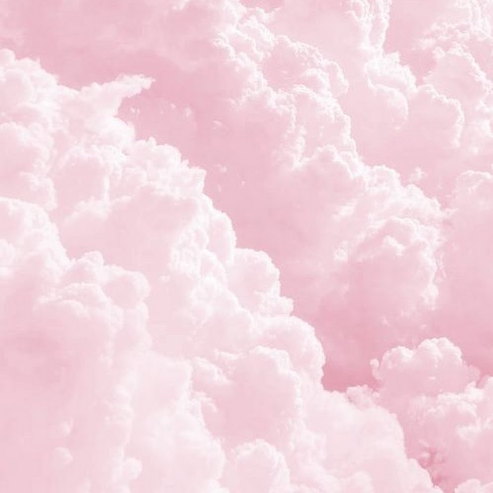 Meet your Posher, Elisa